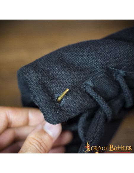 Ensemble de 10 aiglets-accessoires...