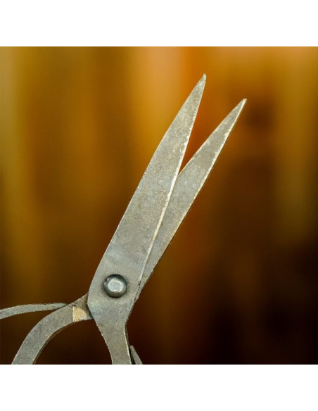 Ciseaux forgés à la main en fer antique