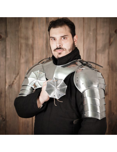 Épaulières médiévales avec boucliers