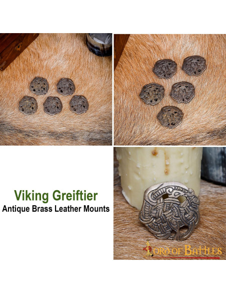 Ensemble de 5 boutons Viking Greiftier
