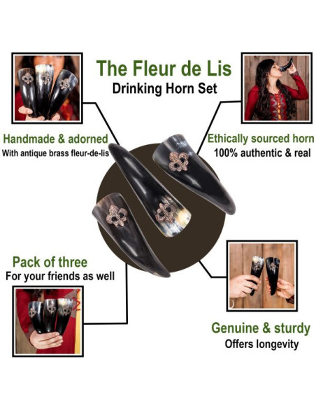 Ensemble de 3 cornes à boire Viking...
