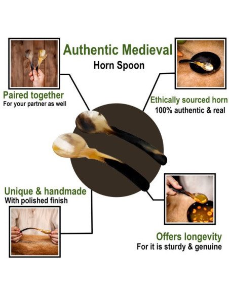 Ensemble de 2 cuillères en corne...