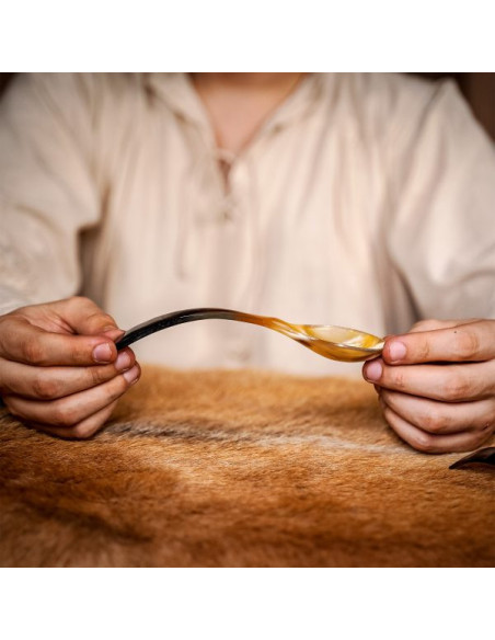 Ensemble de 2 cuillères en corne...