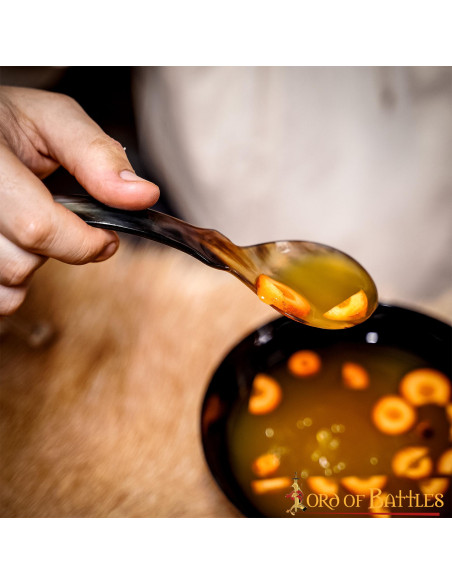 Ensemble de 2 cuillères en corne...