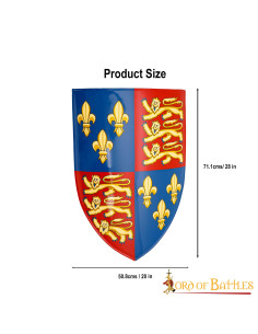 Bouclier décoratif du roi Henri IV 2
