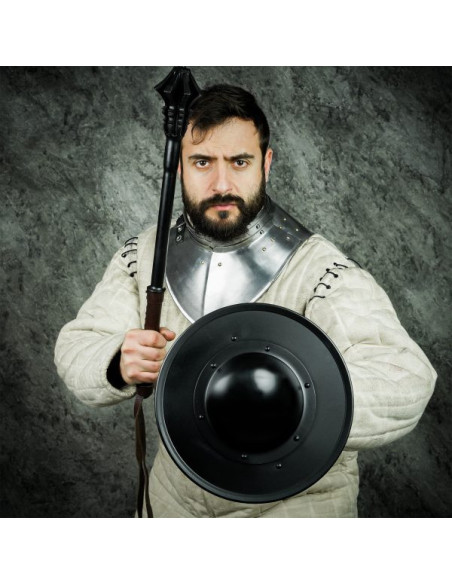 Bouclier rond fonctionnel en acier...