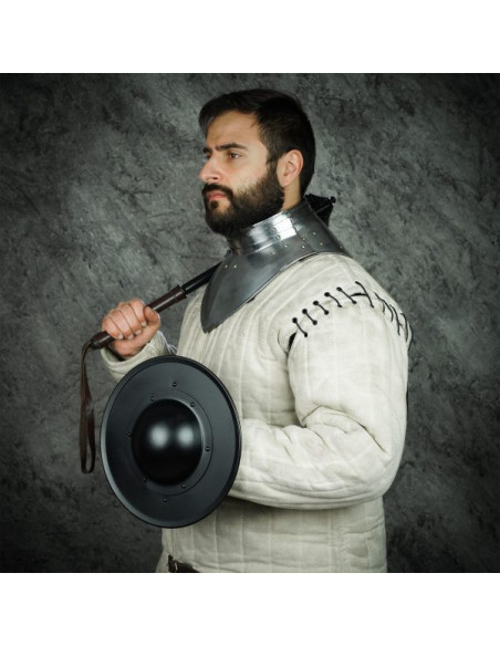 Bouclier rond fonctionnel en acier...