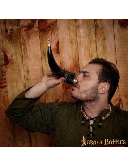Étalon à cornes viking sur corne de...