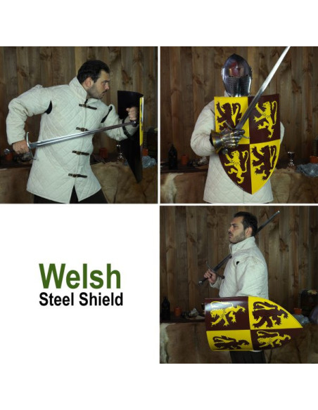 Blason gallois Owain Glyndwr avec...