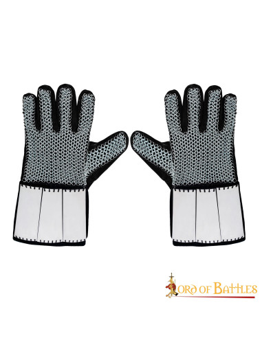 Gants en acier, Gants en maille d'acier, gants de boucher en Stock