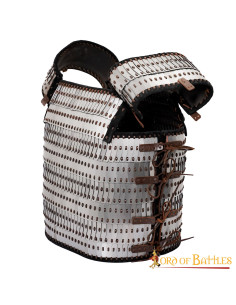 Armure à l'échelle viking avec lattes et plaques visby 2