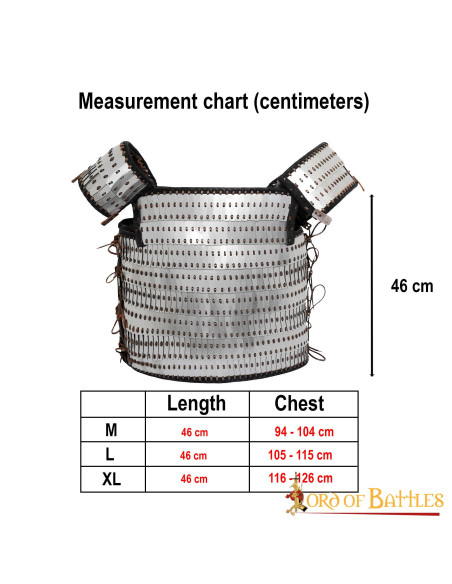Armure à l'échelle viking avec lattes...