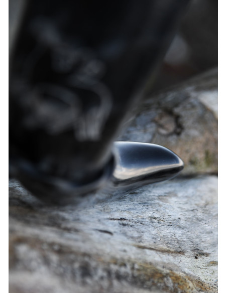 Corne viking Odin chevauchant...