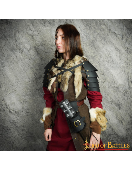 Baldaquin pour épées et autres armes...