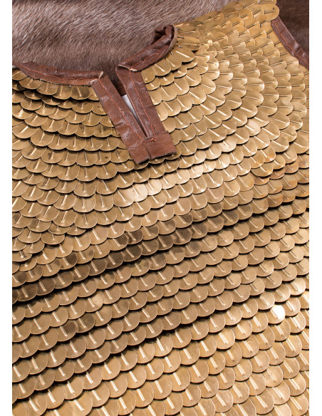 Roman Lorica Squamata (100-250 après JC)