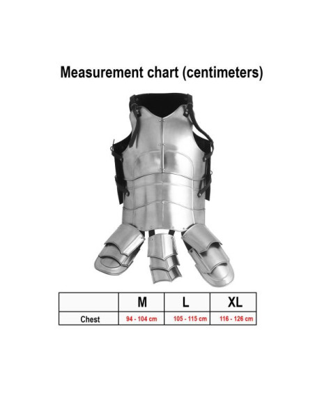 Cuirasse de chevalier médiéval polie,...