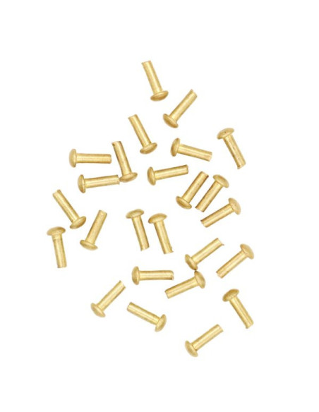 Jeu de 25 rivets en laiton tête de...