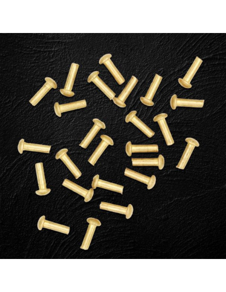 Jeu de 25 rivets en laiton tête de...