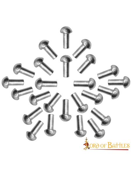 Jeu de 25 rivets argentés tête de...
