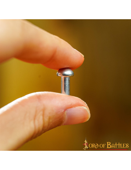 Jeu de 25 rivets argentés tête de...