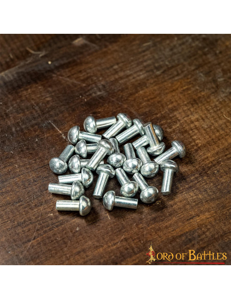 Jeu de 25 rivets argentés tête de...