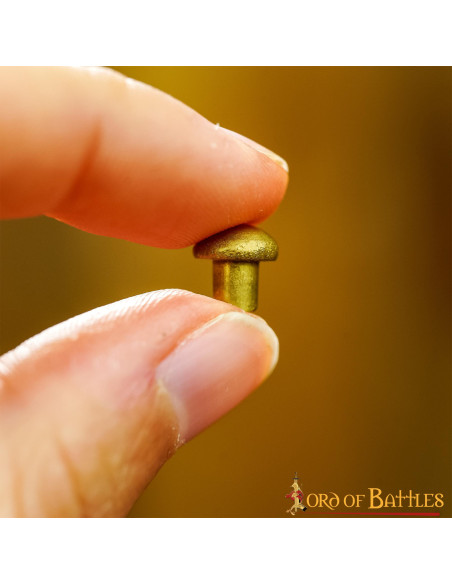 Jeu de 25 rivets en laiton à tête...