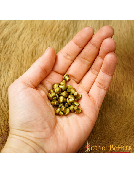 Jeu de 25 rivets en laiton à tête...