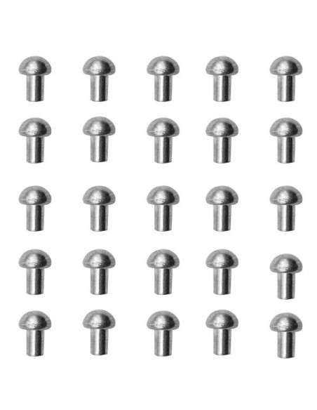 Jeu de 25 rivets argentés à tête de...