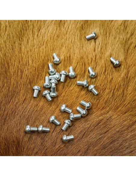 Jeu de 25 rivets argentés à tête de...