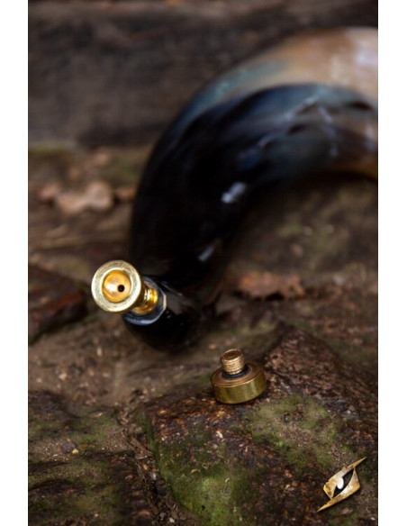 Grande corne sonore pour la bataille