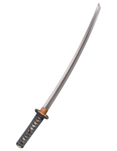 Chasseur Hanwei Wakizashi (104,8 cm.) 2