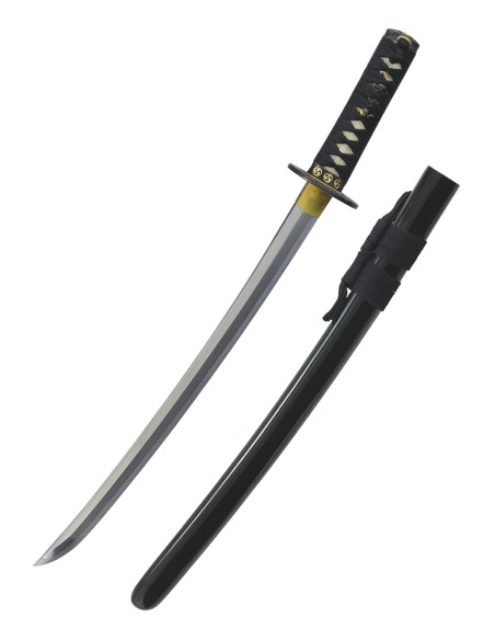 Vent et tonnerre Wakizashi de Hanwei...