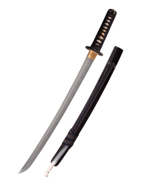 Chien lion Wakizashi de Hanwei (69,5...