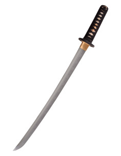 Chien lion Wakizashi de Hanwei (69,5 cm.) 2