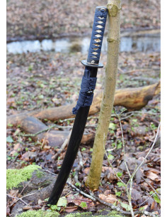 Grenouille Wakizashi Kaeru de Hanwei (70,5 cm.) 2