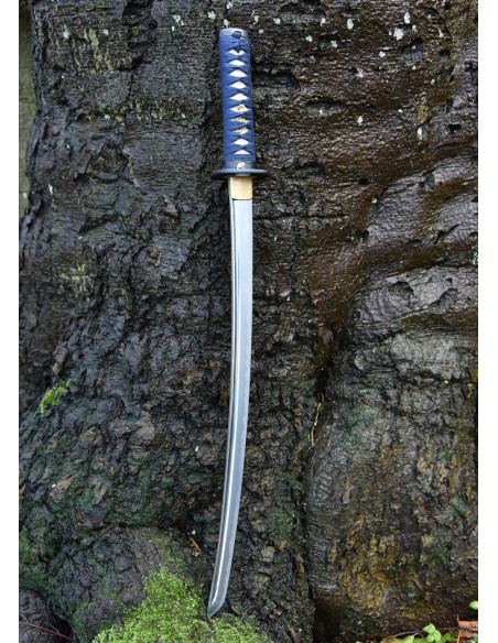 Grenouille Wakizashi Kaeru de Hanwei...