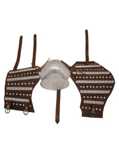 Paire d'Armoiries médiévales historiques avec plaques... 2