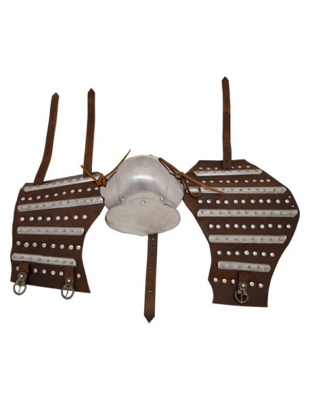 Paire d'Armoiries médiévales...