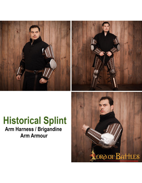 Paire d'Armoiries médiévales...