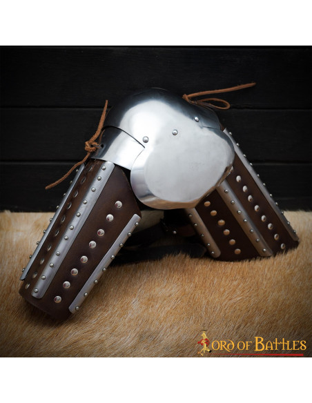 Paire d'Armoiries médiévales...