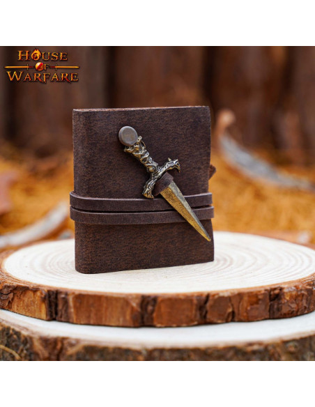 Petit journal médiéval avec...