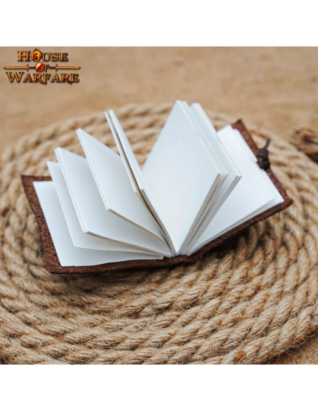 Petit journal médiéval avec...