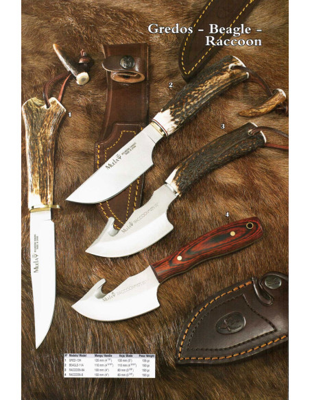 Couteaux Gredos-Beagle-Reccoon