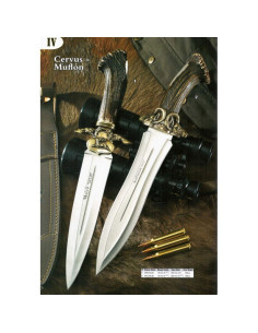 Couteau Cervus manche corne de cerf 2