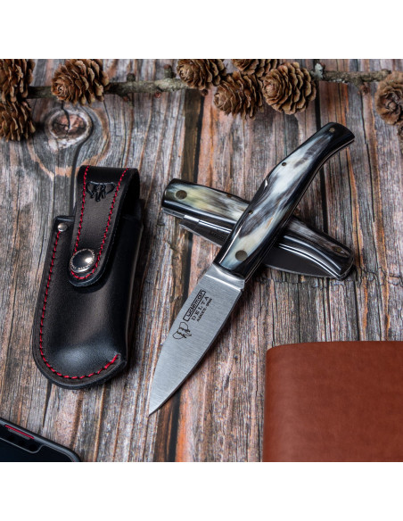 Couteau de chasse Delta, manche en...