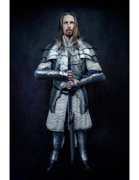 Cuirasse et contreplaque gothiques,...