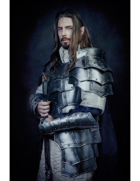 Cuirasse et contreplaque gothiques,...