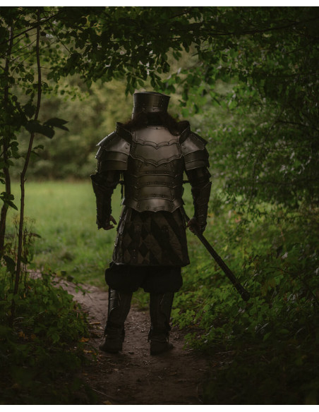 Cuirasse et plaque arrière gothiques,...