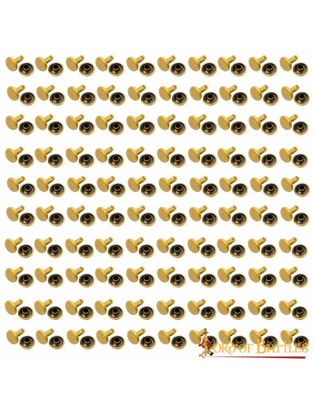 Lot de 100 boutons, type rivet, en...