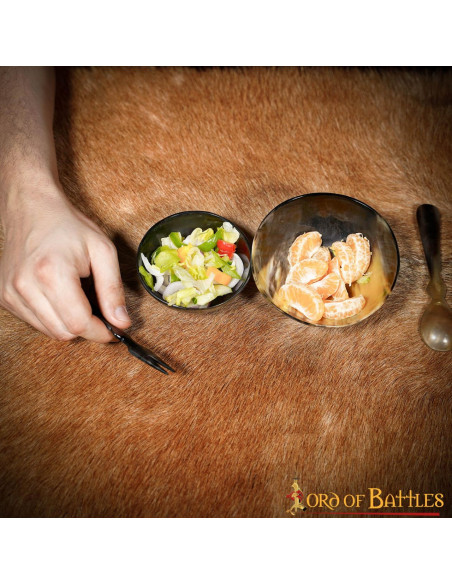 Set 2 bols vikings médiévaux à manger